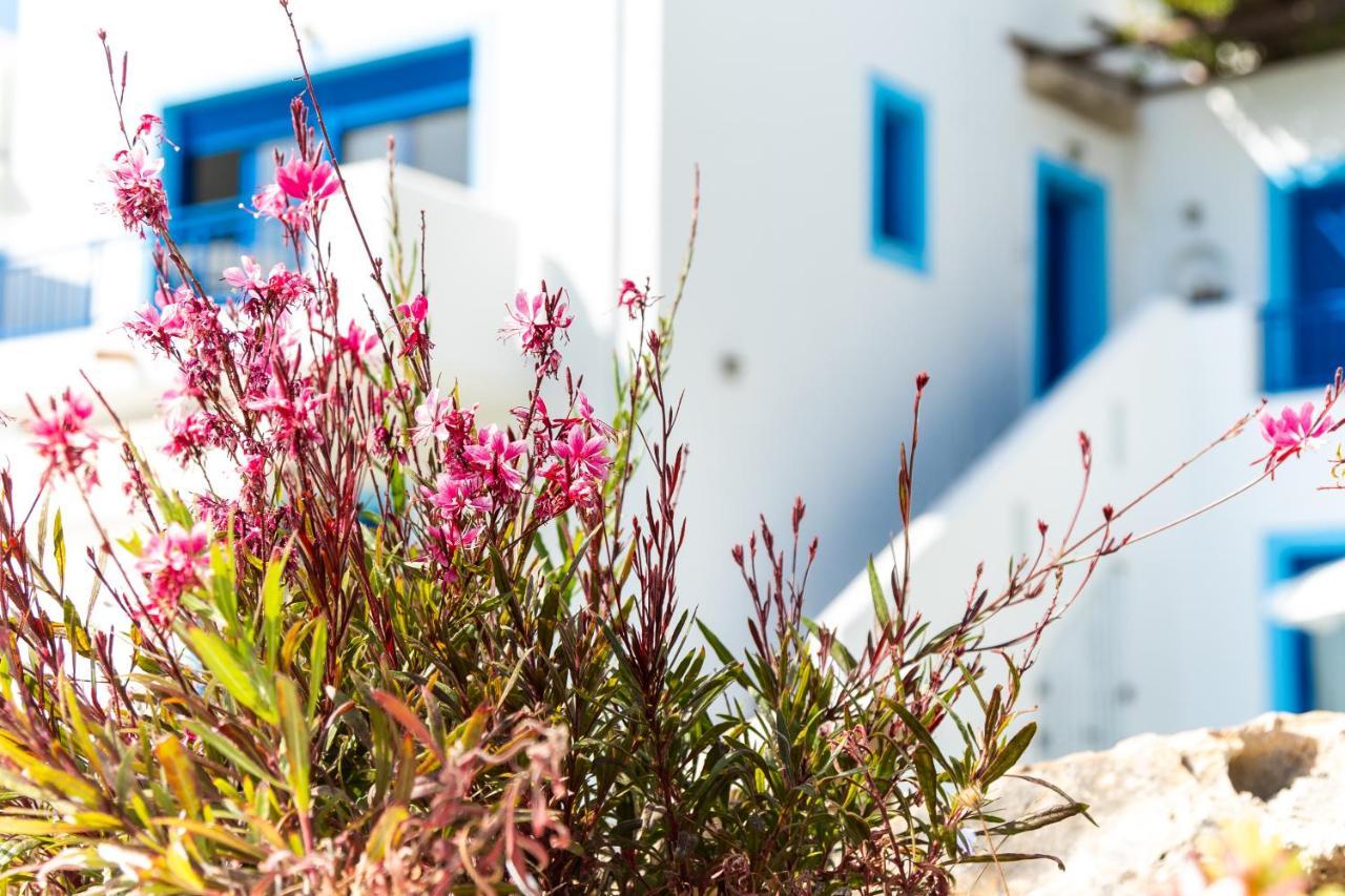 Bella Vista Stegna Aparthotel Αρχάγγελος Εξωτερικό φωτογραφία
